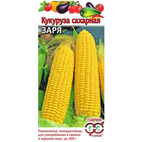 ���� �������� �������� ����, ������ ������ ( 1 ��: 5 � ), ������ �� 43 ���