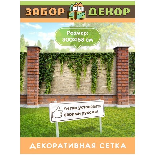     300158 -0096,   1513 