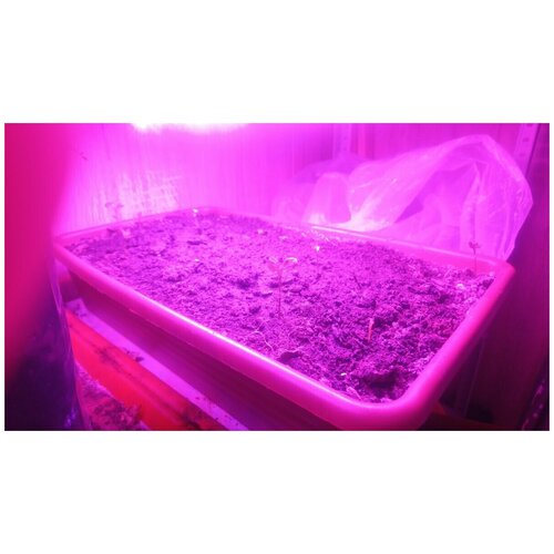 ���� ���������� ��� ��������� ����� �������� Ultraflash LWL-2014-04CL, ����, 9 ��, �����, LED 570�35�26��, ������ �� 699 ���