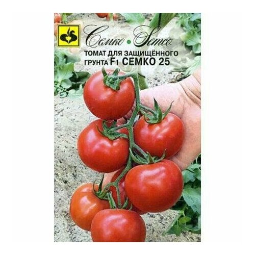 ���� ������ ����� ����� 25 F1 5�� ����� ������ (�����), ������ �� 203 ���