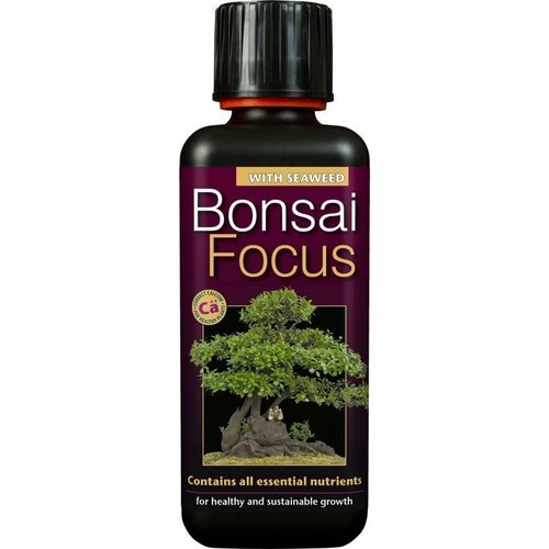   Bonsai Focus c       Growth Technology  300   -     , -, 