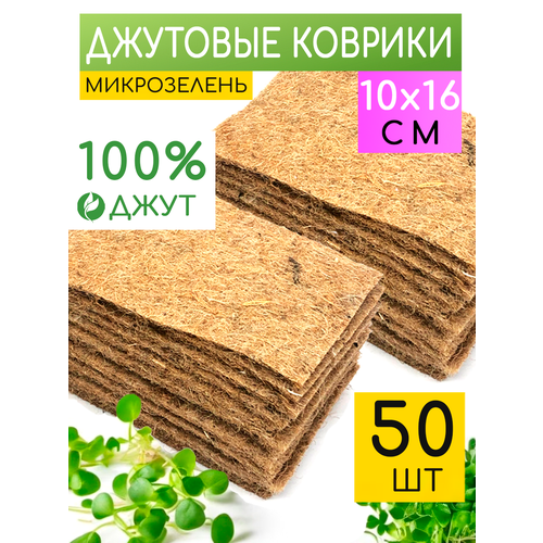 ���� �������� ������ ��� ������������ �����������, �����������, ������ �� 500 ���