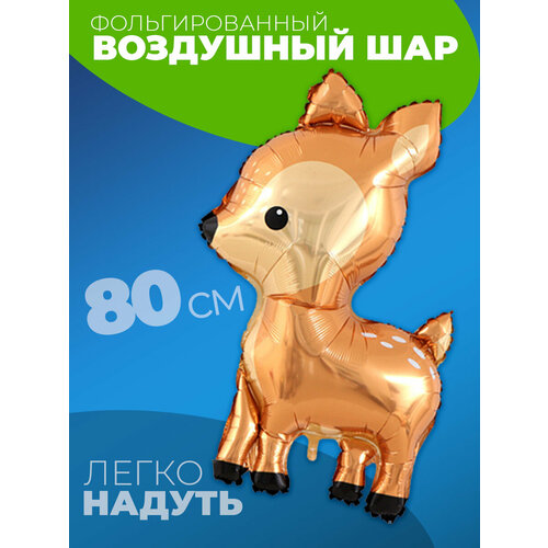 ���� ��� ��������, ������ �� 255 ���