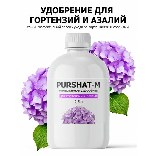    ,     (Purshat) 500 ,   588 