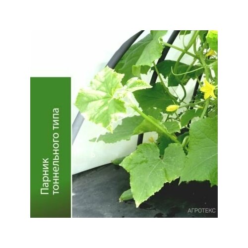 ���� ������ ����������� ���� ���� 4 �, ������� ��� ������� ��������, �������� ��������, ������ �� �������� ����� 60 , ���������� ���� � �������������, 4 �, ������ �� 958 ���