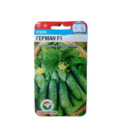 ���� ������ ������ ��������� ���, ������ �� 439 ���