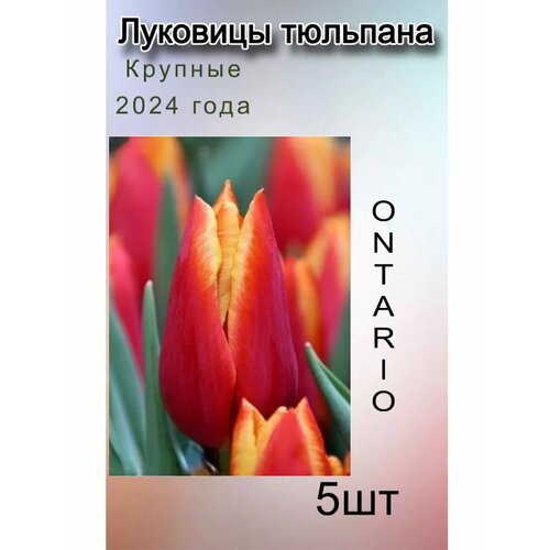    Ontario ( 5 ),   283 