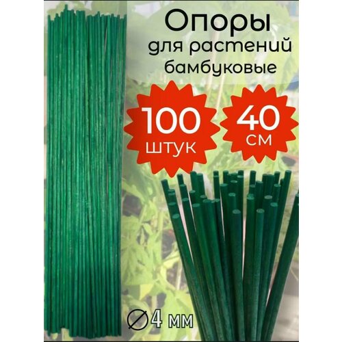      ,   ,   40  100 ,    4 ,   600 