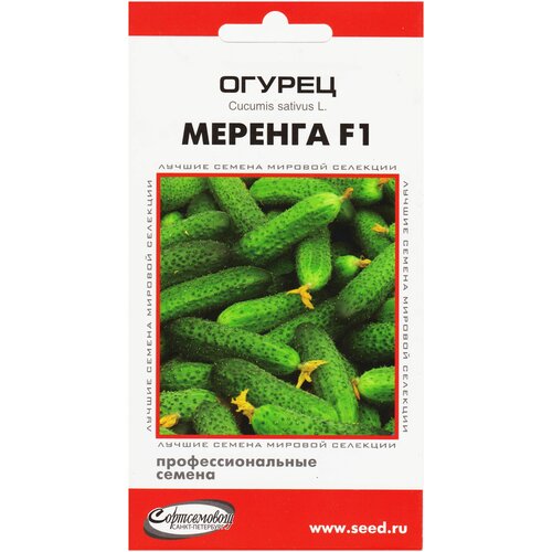 ���� ������ ������� F1, 6 �����, ������ �� 260 ���