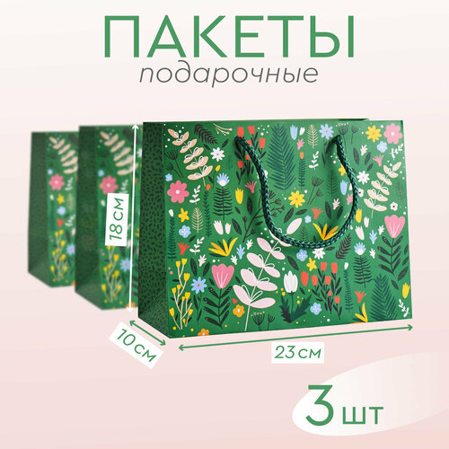 ���� ����� ������� ���������� �������� 3 ��, ������ �� 390 ���