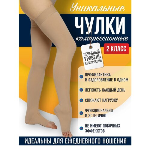    2  XXXL (7)    ,   1650 