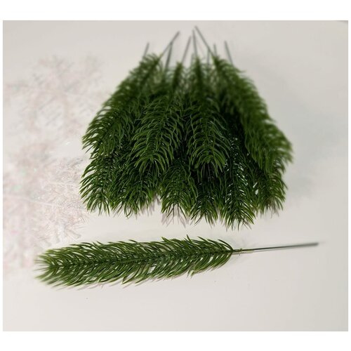 ���� ����� ������ �� ������������� ����� . ���� ������. ������ 23 ��. �������� 10 ��., ������ �� 490 ���