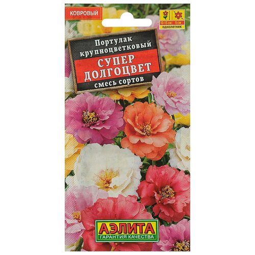 ���� ������ ������ �������� �������� 