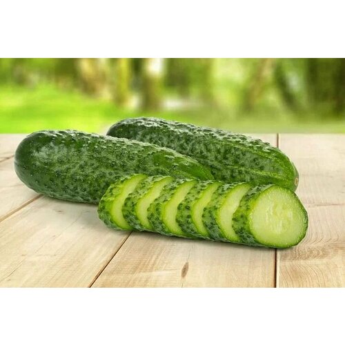 ���� ������������� ������ ������ ����� F1, ������ �� 127 ���