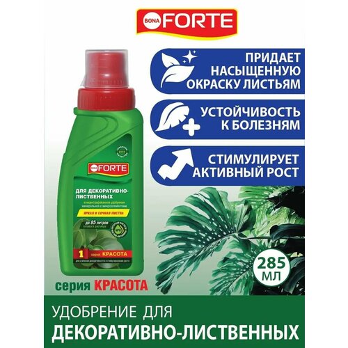 ���� ��������� ��� �����������-����������, ����� �������, Bona Forte, ���� �����, ������, 285 ��, ������ �� 249 ���