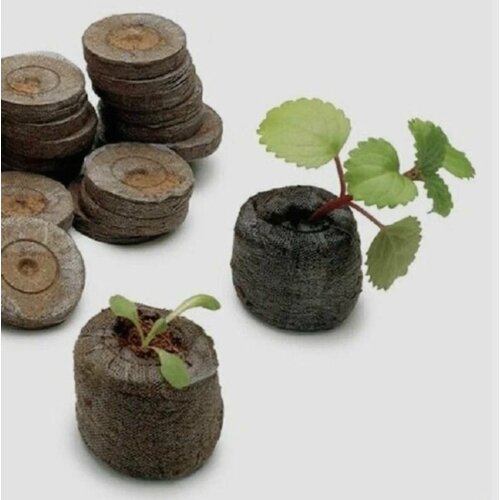         44  - 20 ,  (jiffy),   620 