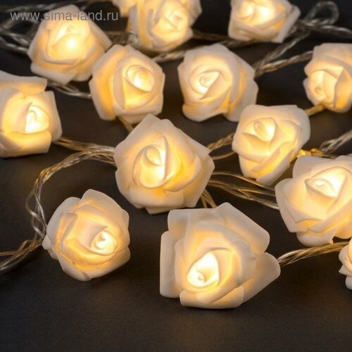 ���� �������� ������ 5 � � ��������� ����� �����, IP20, ���������� ����, 20 LED, �������� ����� �����, 220 �, ������ �� 920 ���