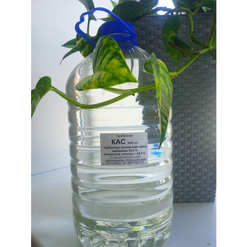 ���� ��������� ��� 32 (��������� ��������� �����) �������� 32 % �����., ������ �� 898 ���