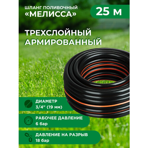 ���� ����� ���������� ��� 