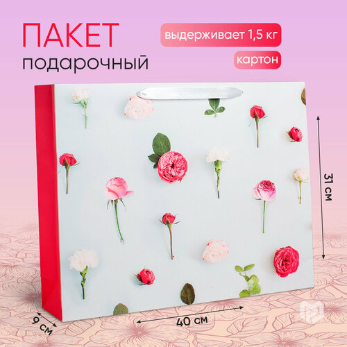 ���� ����� ���������� �������������� ��� ���������, 40 � 31 � 9 ��, ������ �� 233 ���