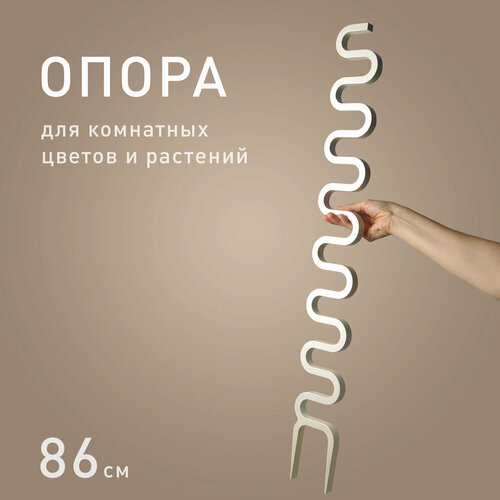 ���� ����� ��� �������� �������� 