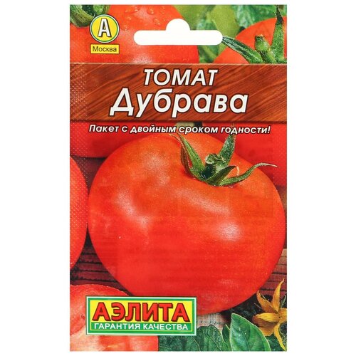 ���� ������ ����� 