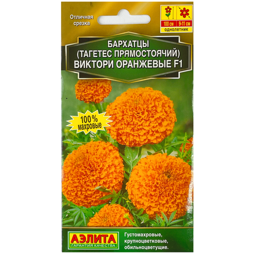 ���� ������. �������� 