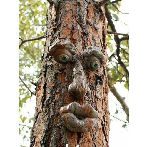 ���� ���� �������� �� ������, ������ �� 999 ���