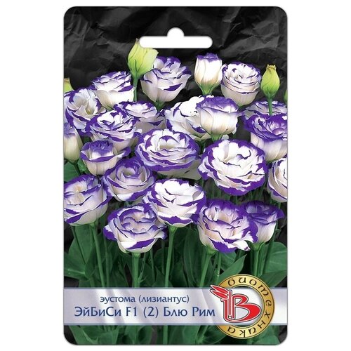 ���� ������ ������� 