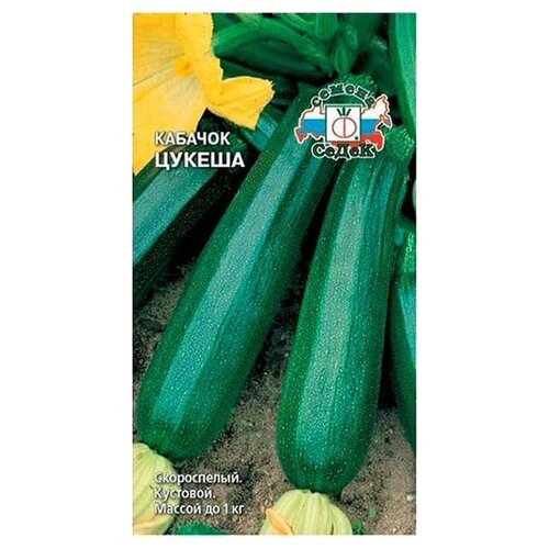 ���� ������ ����� ������� ������, ������ �� 33 ���