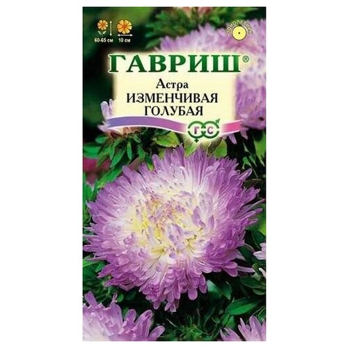 ���� ������. ����� ����������� 