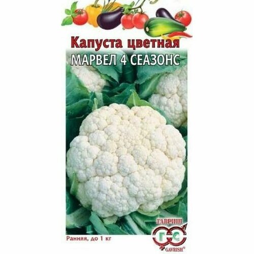 ���� ������ ������� ������� ������ 4 �������, �����������, (������) 0,3�, ������ �� 49 ���