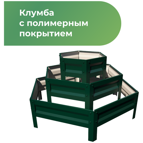 ���� ������ � ���������� ��������� ������������ ����� (������� ���), ������ �� 4040 ���