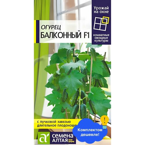 ���� ������ ������ ������ ����� 