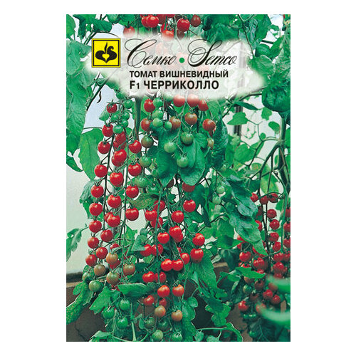 ���� ������ ����� ���������� F1 10�� ����� ������ (�����), ������ �� 161 ���