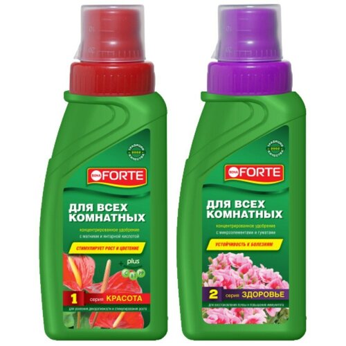 ���� ����� ������ ��������� Bona Forte ��� ���� ��������� �������� ������� 285��+�������� 285��, ������ �� 514 ���