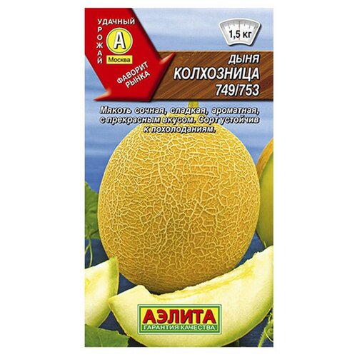 ���� ������. ���� 