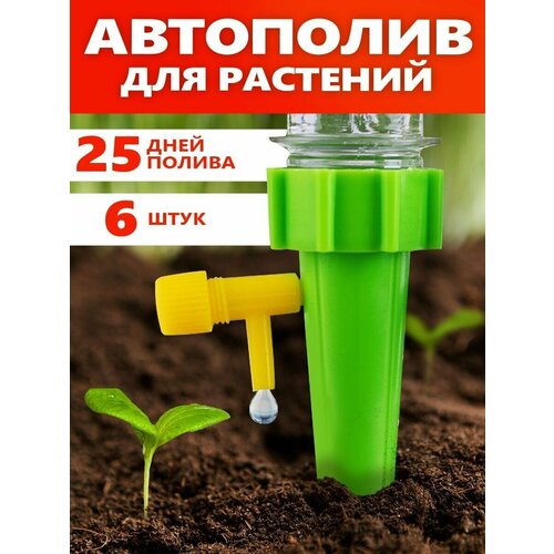 ���� ������� ���������� ��������� �������� ��������� ����� �������� ������� ������, ������ �� 300 ���