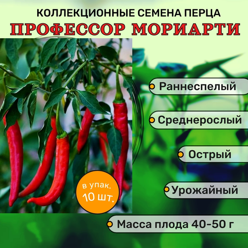 ���� ������������� ������ ����� ������� ��������� ��������, ������ �� 102 ���