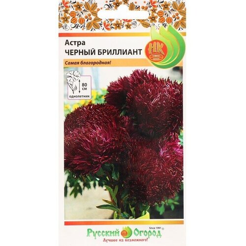 ���� ������ ������ ����� 