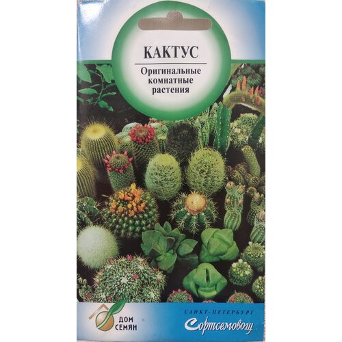 ���� ������ �����, ��������� ��������, 25 �� �����, ������ �� 251 ���