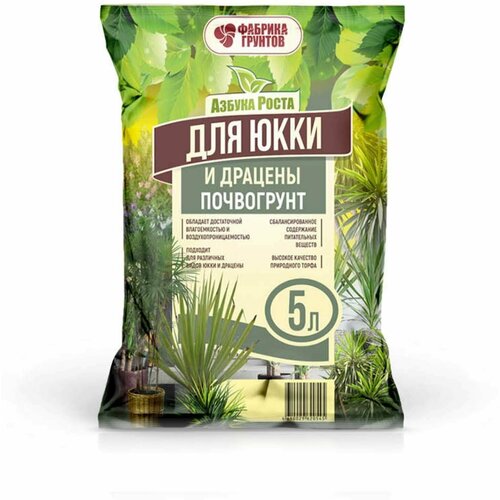 ���� ���������� ��� ���� � ������� 5�, ������ �� 499 ���