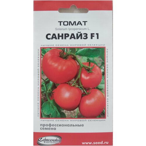 ���� ����� ������� F1, 10 �� �����, ������ �� 252 ���