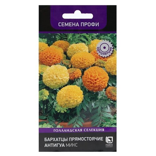 ���� ������ ����� �������� ������������ ������� ����, 15 ��, ������ �� 269 ���