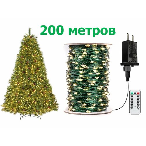 ���� ��������������� ���� ������������ ���� ������� 200 �. ��� ��������, ���� Ҹ���� ����� (������ ������), ������ �� 4299 ���