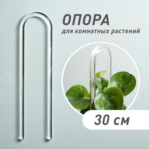 ���� ����� ��� �������� 