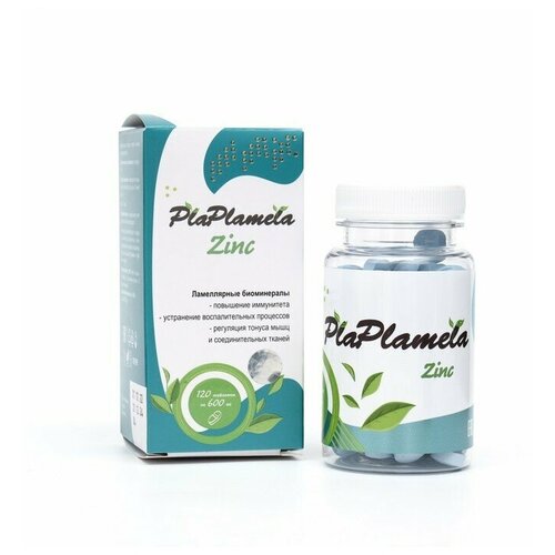  PlaPlamela  120    -     , -, 