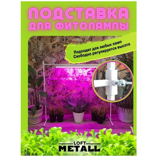 ���� ��������� ��� ��������� 125, ��������� ���������������, ������ �� 1500 ���