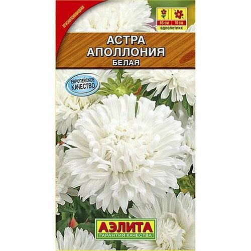 ���� ������ ����� ��������� �����, ����������, (������) 0,2�, ������ �� 50 ���