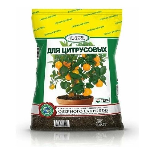 ���� ����� ��� ���������� 5 � ����, ������ �� 301 ���